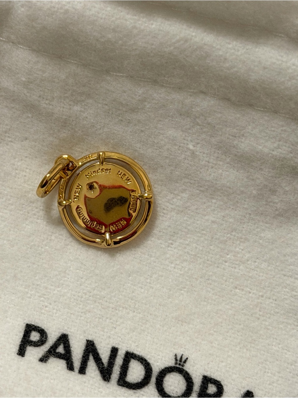 Pandora Scarab Beetle Medallion Charm - Picture 4 of 7